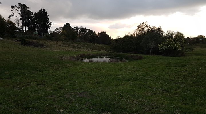 The Little Dam Cottage