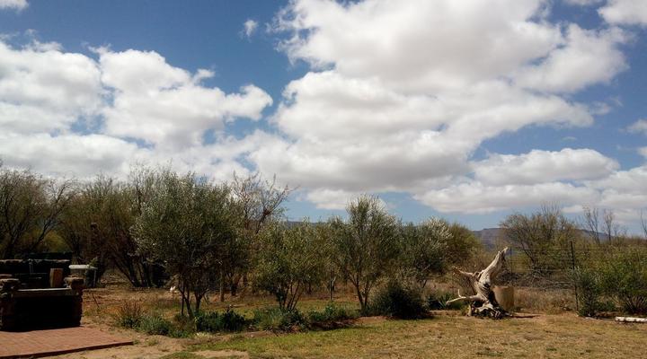 Die Hok Bachelor Flats