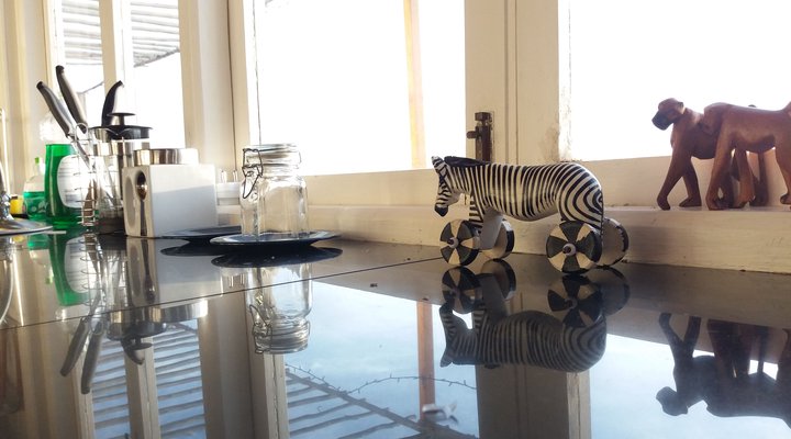 The Whale Cove Cottage