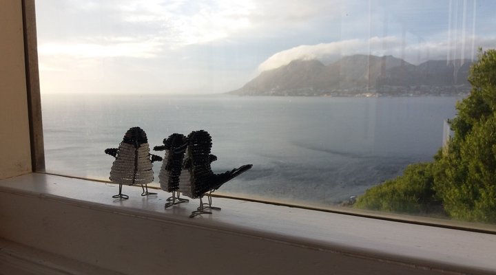 The Whale Cove Cottage