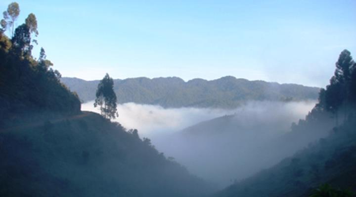 Gorilla Safari Lodge