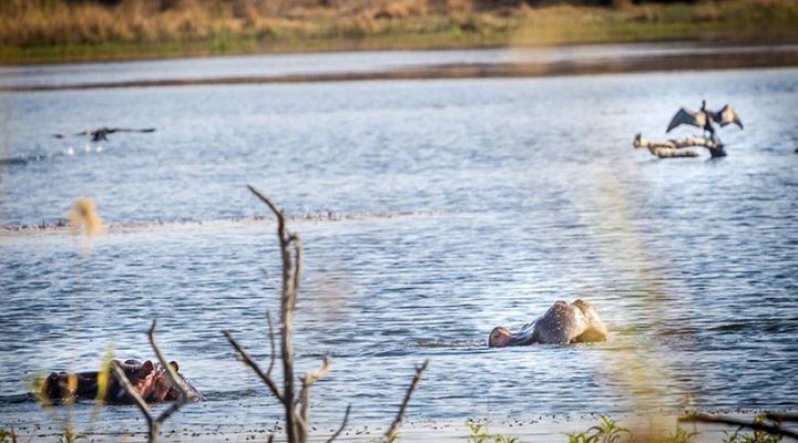 Ritsako Game Lodge