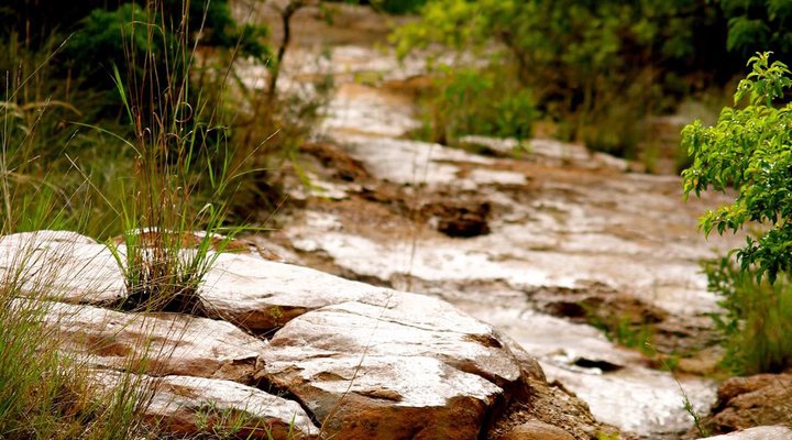 Thaba Tala Game Farm