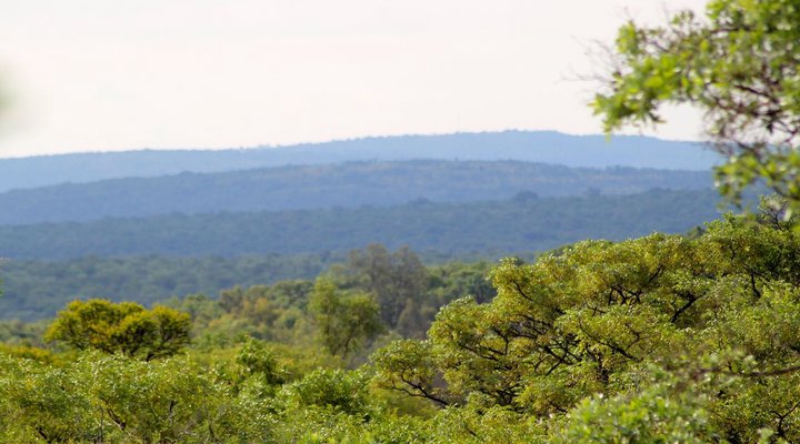 Thaba Tala Game Farm