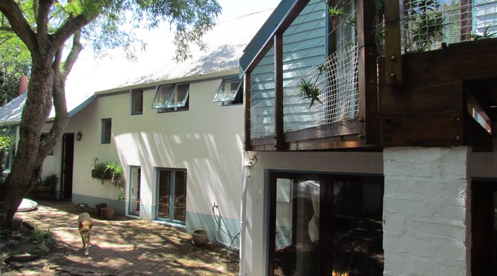 Wild Wood Family Home