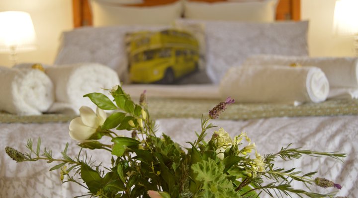 Blou Porselein Guest Farm