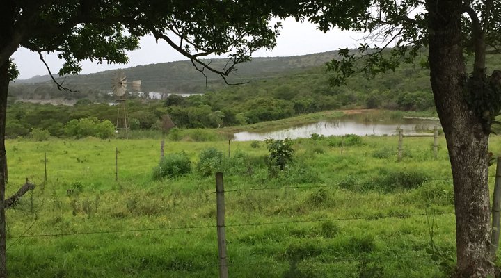 Lone Tree Guest Farm