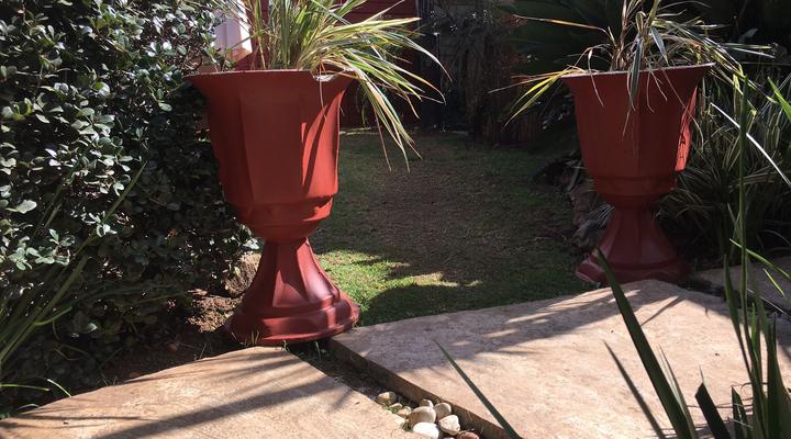 House on Morninghill