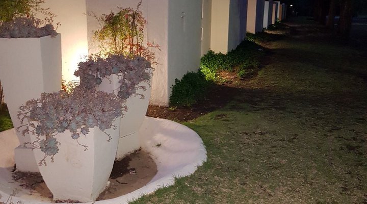 De Zonnebloem Guest House