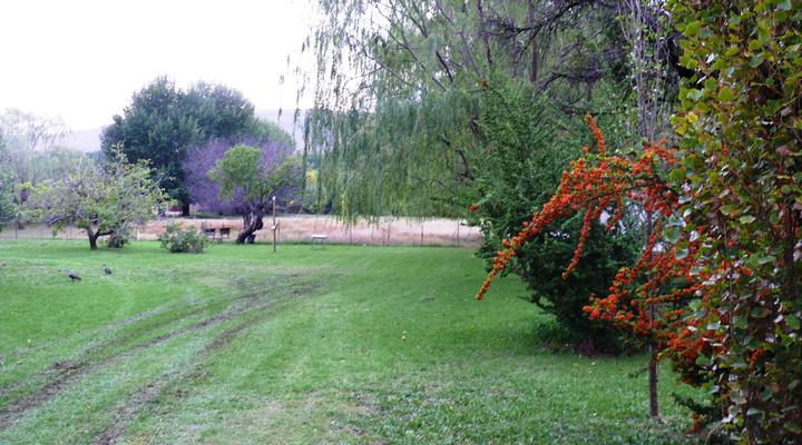 Zonnenstrahl Camping Ground