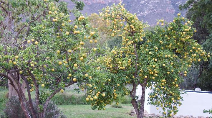 Kapteinskloof Guest House