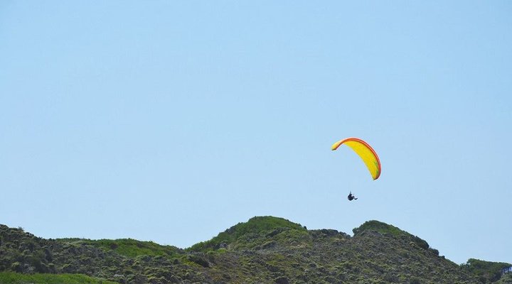 Papillon Bleu