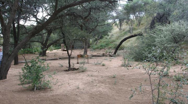 Camp Porosa@ Ankawini Safari Ranch