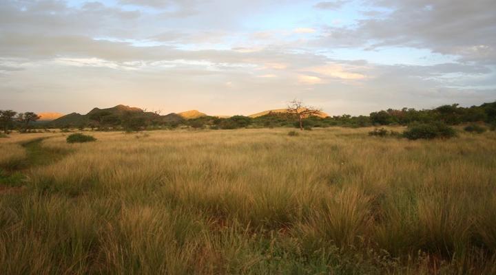 Camp Porosa@ Ankawini Safari Ranch