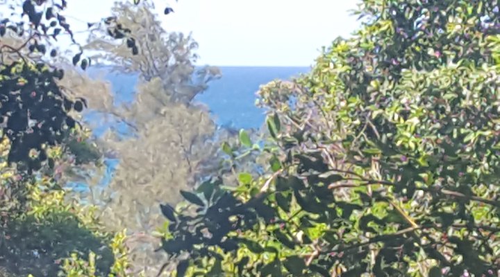 Sea-esta do Ponta
