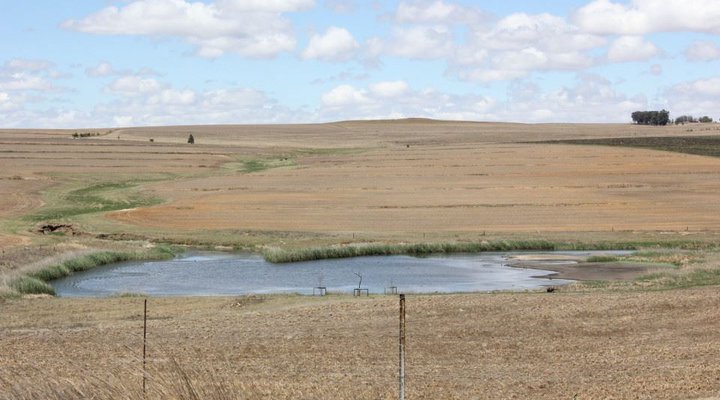 Groenfontein Guest Farm