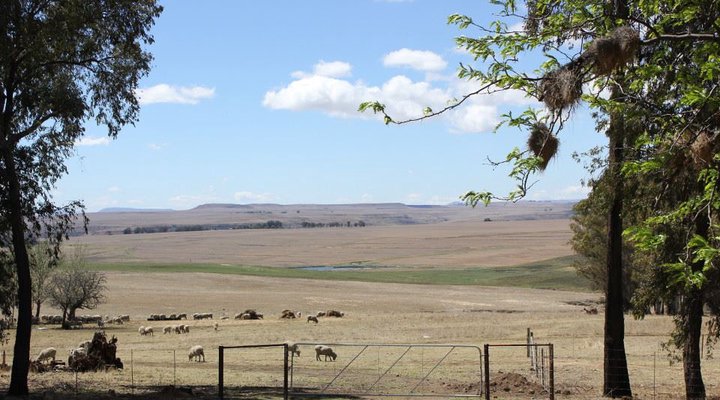 Groenfontein Guest Farm