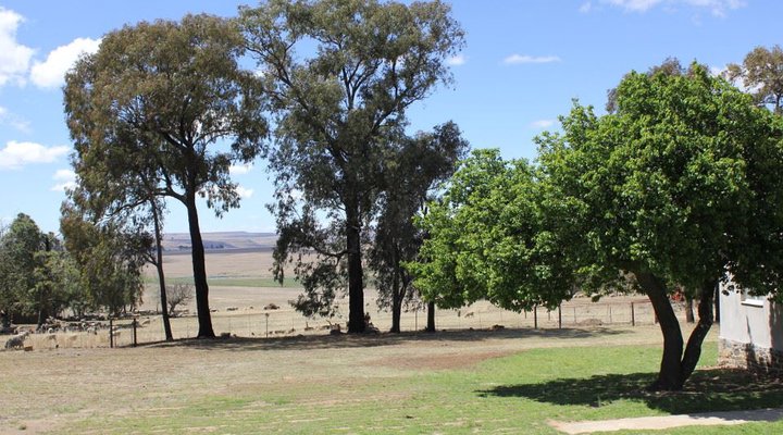 Groenfontein Guest Farm