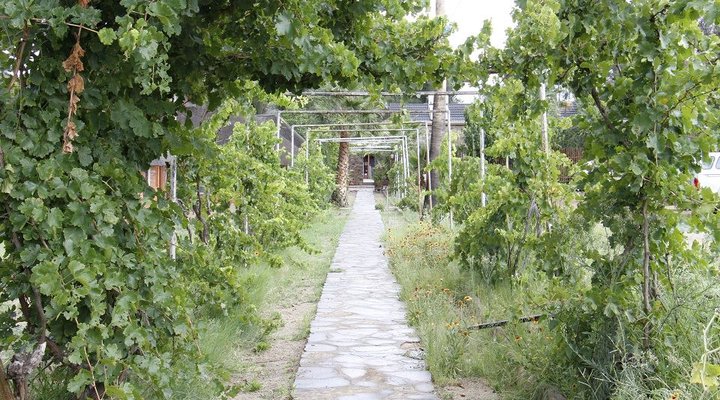 Vineyard Country Lodge