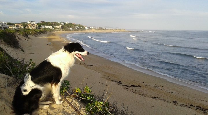 Bretton Beach Crest Holiday Cottages