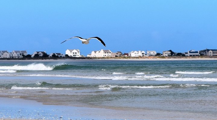 Golden Mile Beach B&B