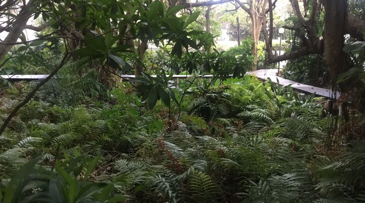 58 La Pirogue Ballito