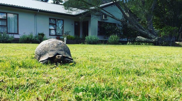 Baviaanskloof Lodge – Country House