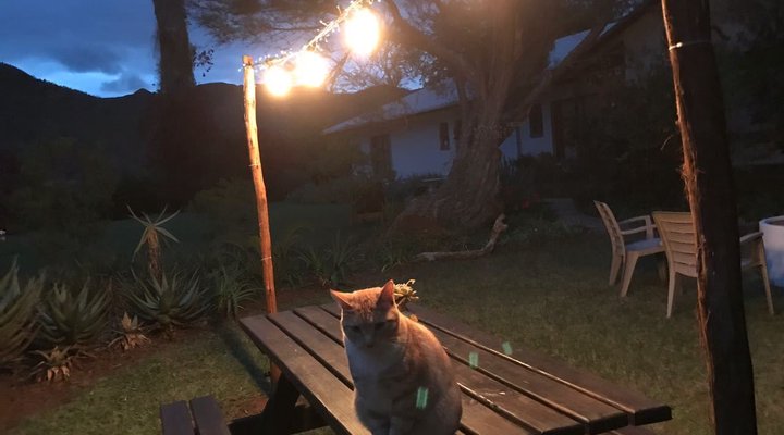 Baviaanskloof Lodge – Country House