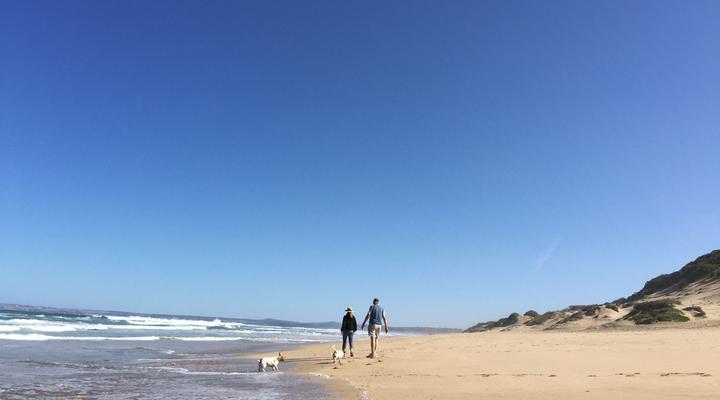 Dolphin Dune - Hersham