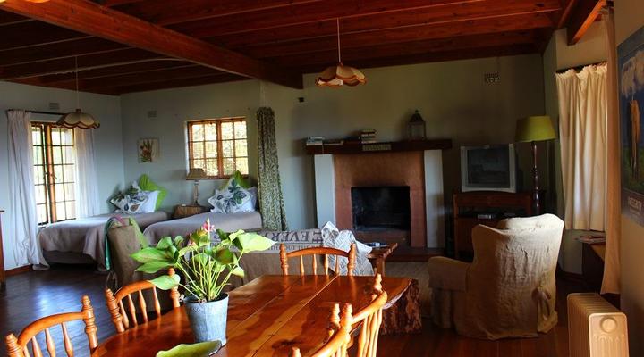 Lazy Leopard Forest Retreat