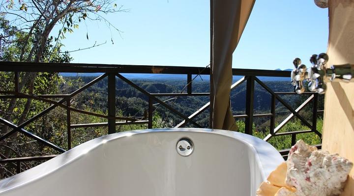 Lazy Leopard Forest Retreat