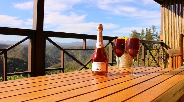 Lazy Leopard Forest Retreat