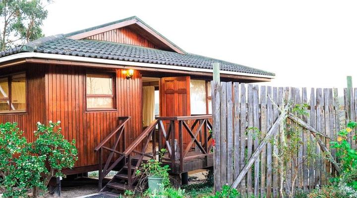 Lazy Leopard Forest Retreat