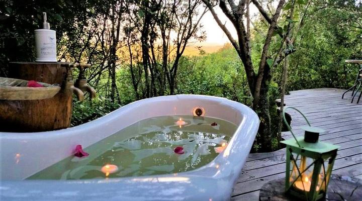 Lazy Leopard Forest Retreat