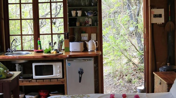 Lazy Leopard Forest Retreat