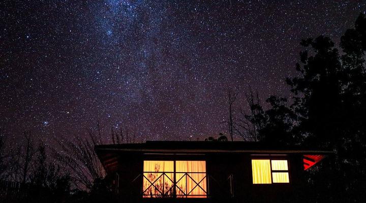 Lazy Leopard Forest Retreat