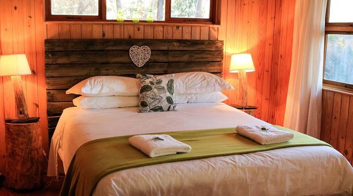 Lazy Leopard Forest Retreat