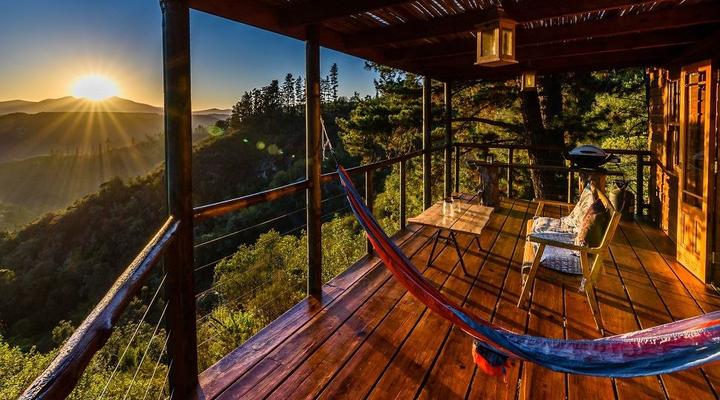 Lazy Leopard Forest Retreat