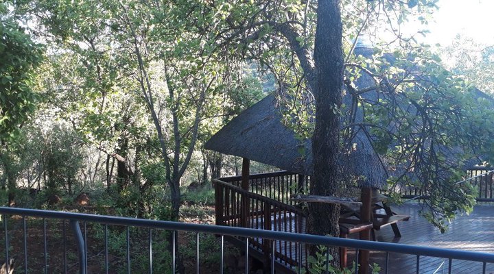 Meerkat Manor