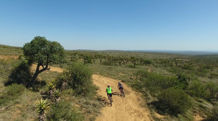 Copper Moon Game Lodge