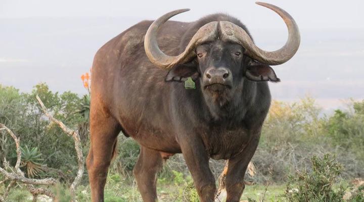 Longhill Private Reserve