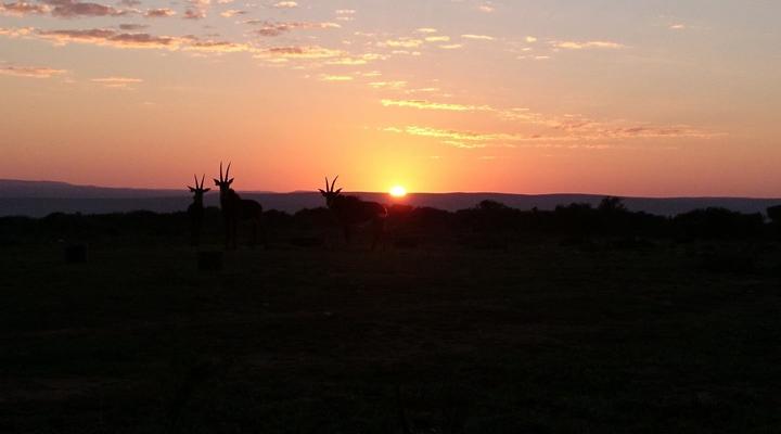 Longhill Private Reserve