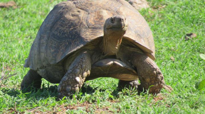 Longhill Private Reserve