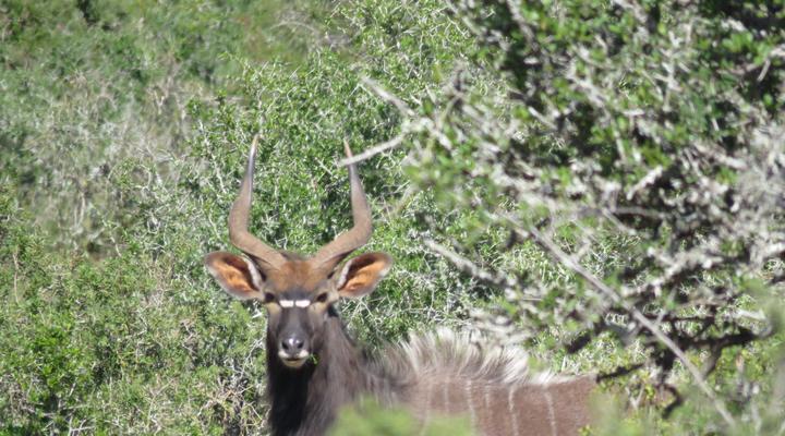 Longhill Private Reserve