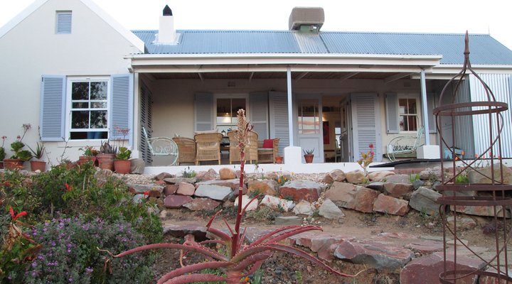 Blue Karoo