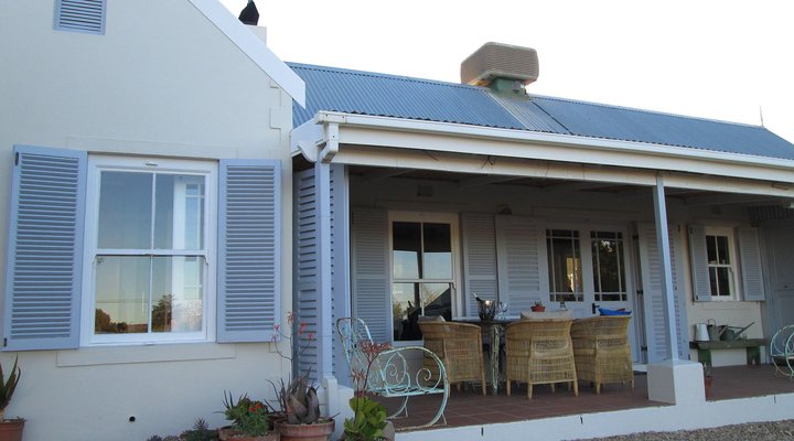 Blue Karoo