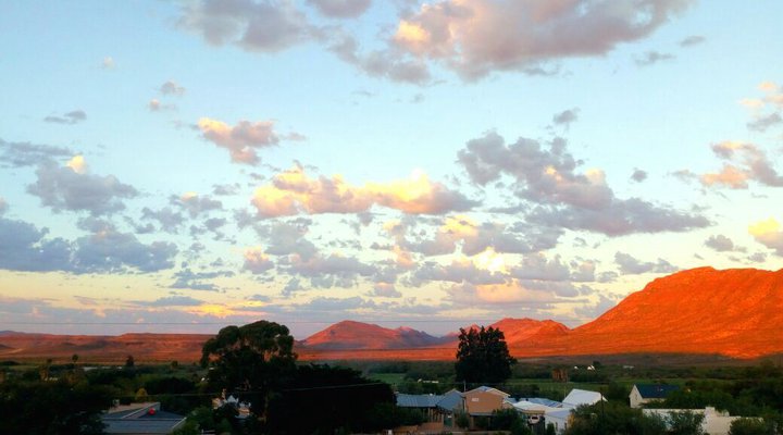 Blue Karoo