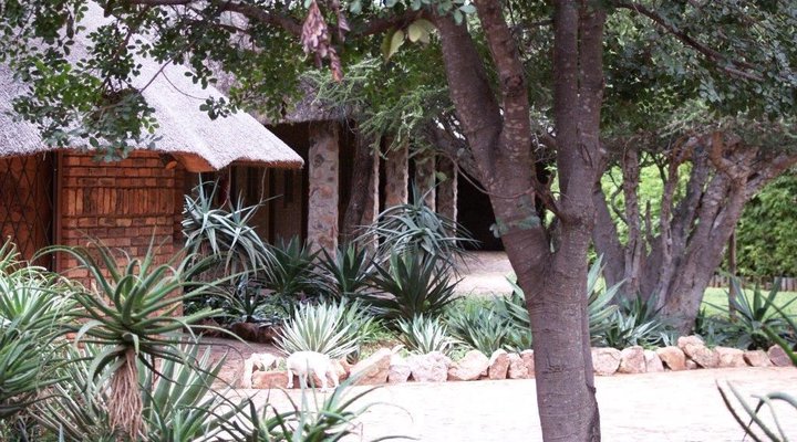 Rinkhalskop Safari Lodge