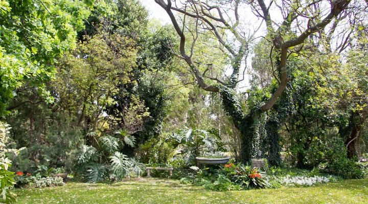 Positano Guest House