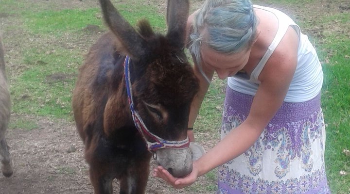 Misty Creek Guest Farm
